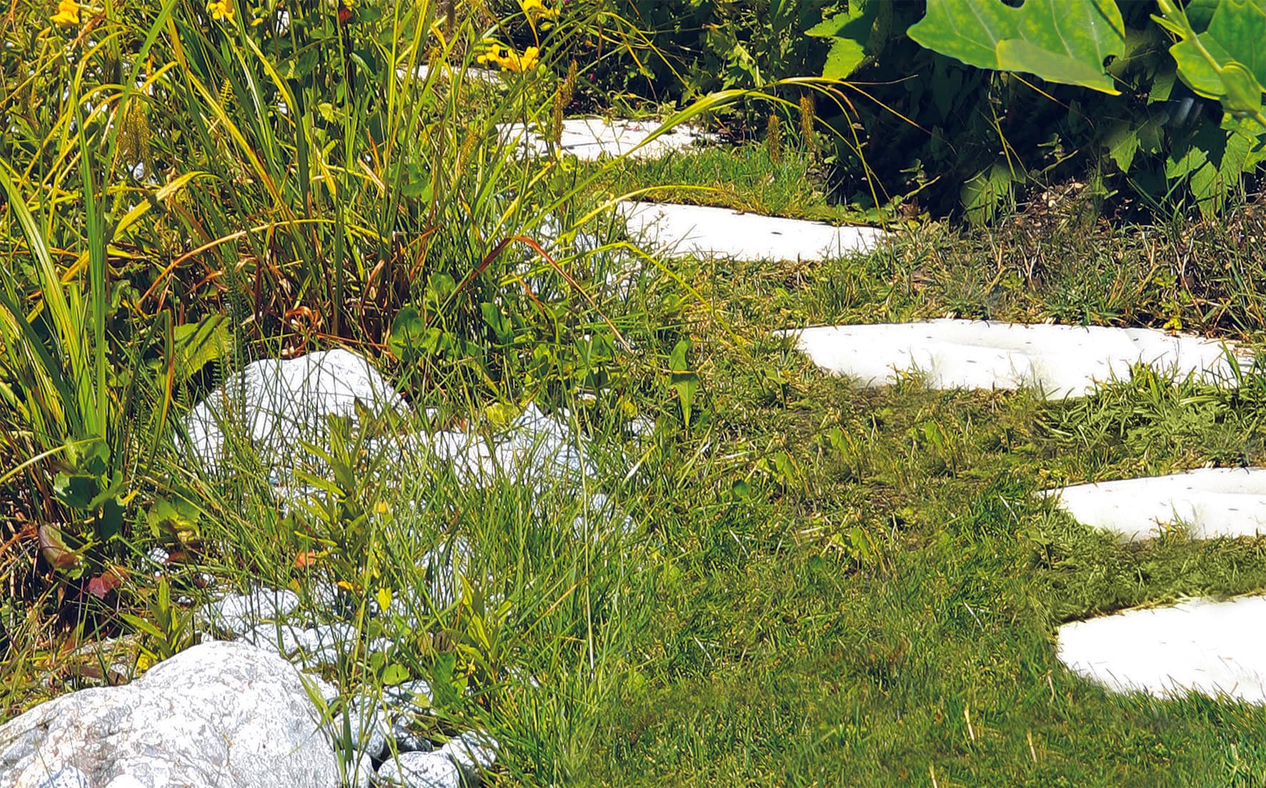 Einhell GC-CG 3,6 Li Akumulatorske makaze, 1 x 1500 mAh - slika 10