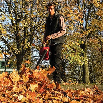 Honda motorni duvač lišća HHB 25D - slika 7