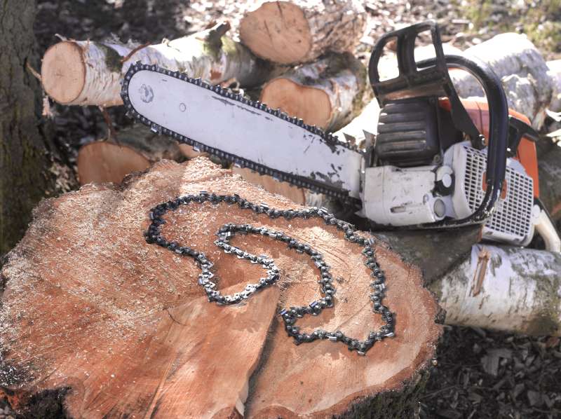  KWB 49640345 Lanac za lančanu testeru 3/8" 300, HOBBY, 03-A45, spojnica 45 - slika 4