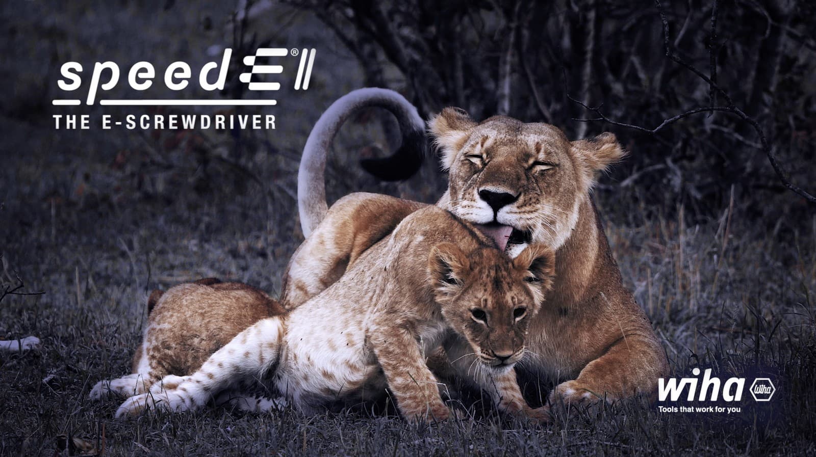 Wiha 44318 Speedy e-odvijač, 7 delova, u kutiji L-Boxx Mini - slika 20