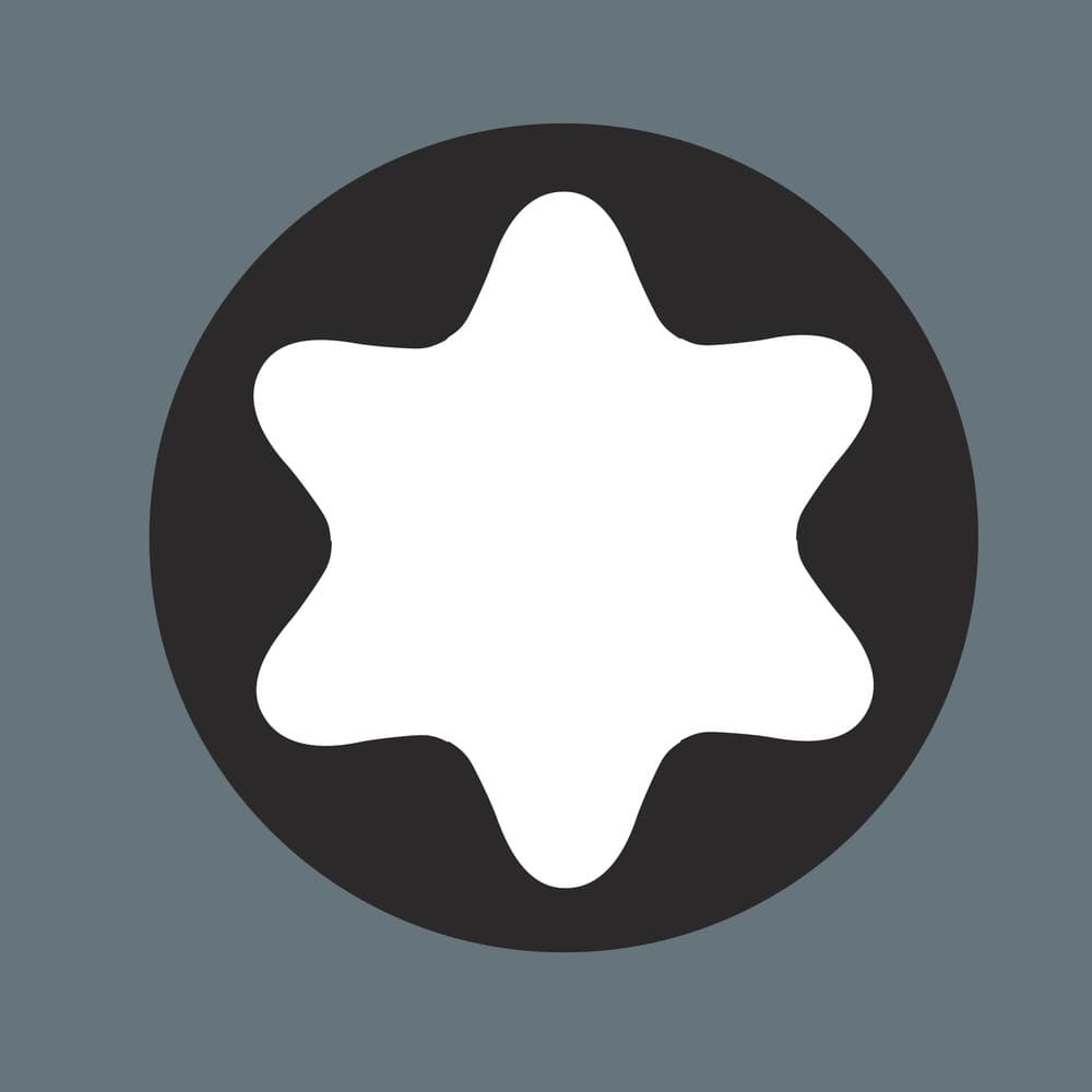 Wera 7776 TORX® umetak za ravni moment ključ, 9x12 mm, TX 6 x 40 mm, 05078660001 - slika 6