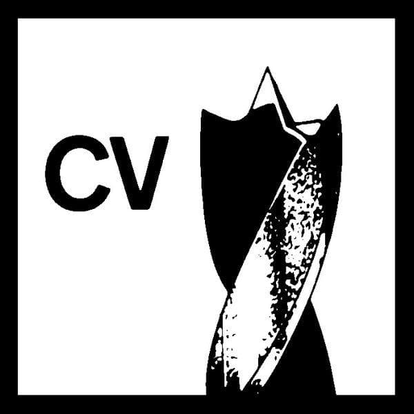 Spiralna burgija za drvo standard Bosch 2608597208, 30 x 145 x 220 mm, d 13 mm - slika 5