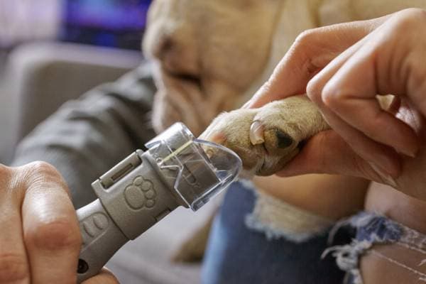 Akumulatorski višenamenski alat Dremel 7020 PGK, F0137020JA - slika 4