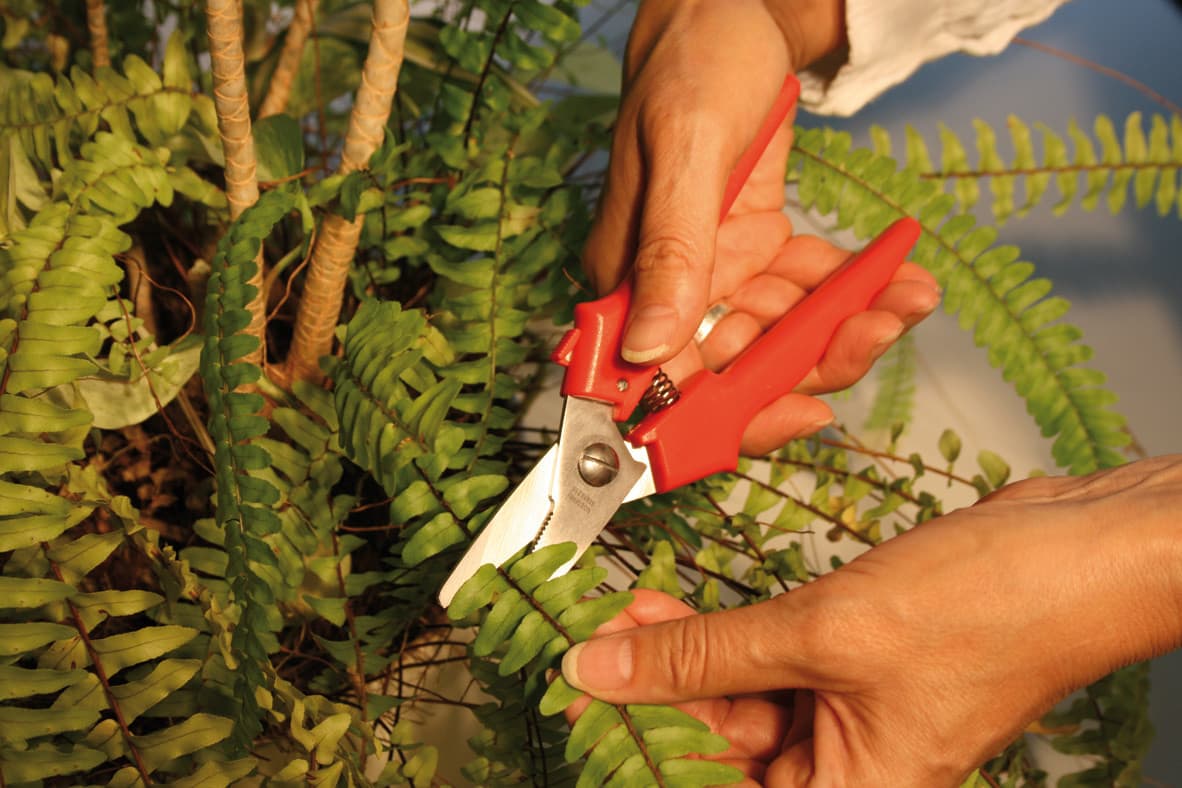 Bessey D47 Višenamenske makaze - slika 4