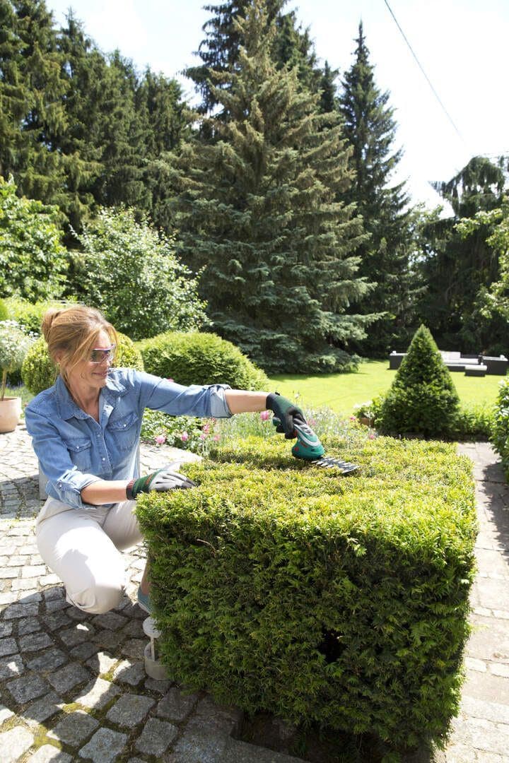 Bosch ISIO III Akumulatorska univerzalna testera - slika 6