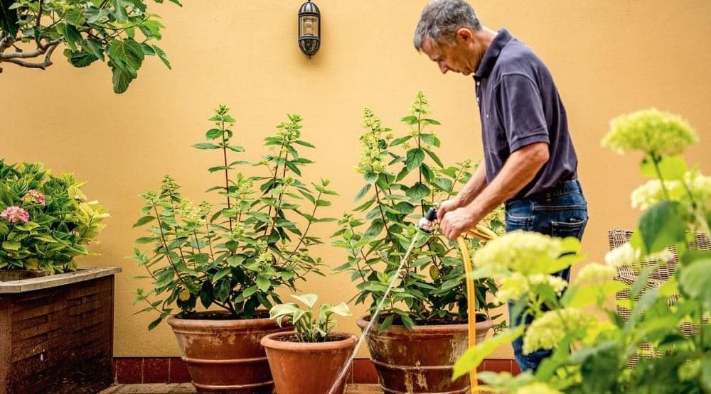 Bosch GardenPump 18 Akumulatorska pumpa za zalivanje, 1x2.5Ah - slika 4