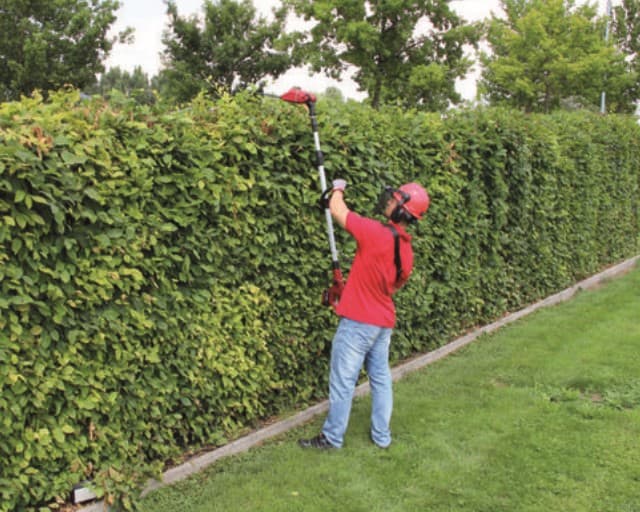 Einhell AGILLO Kit + GE-HH 18 Li T solo Akumulatorski trimer za travu i Akumulatorske teleskopske makaze za žbunje - slika 6