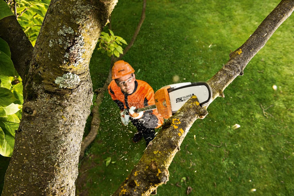 STIHL accu rezač visokih grana HTA 85 - slika 4