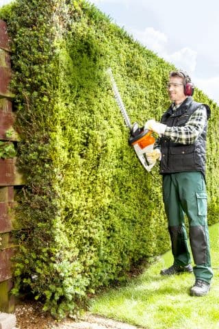 STIHL HSE 42 Električne makaze za živu ogradu, 420W - slika 3