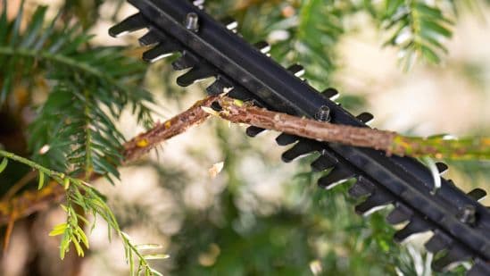 Bosch AdvancedBrushCut Akumulatorske makaze za živu ogradu 18V-44-11, 1x2.0 Ah 0600849H07 - slika 3