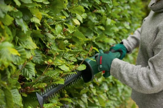 Bosch EasyHedgeCut 18V-52-13 Akumulatorske makaze za živu ogradu, bez baterije i punjača 0600849M00 - slika 3