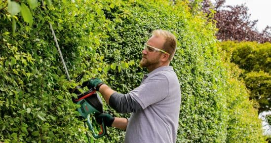 Bosch EasyHedgeCut 18V-52-13 Akumulatorske makaze za živu ogradu, bez baterije i punjača 0600849M00 - slika 2