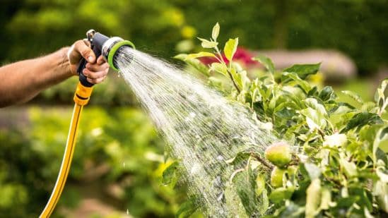 Bosch GardenPump 18 Akumulatorska pumpa za zalivanje, bez baterije i punjača 06008C4203 - slika 3
