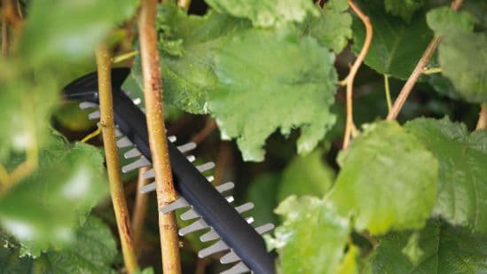 Bosch UniversalHedgecut 18V-50 Akumulatorske makaze za živu ogradu, bez baterije i punjača 0600849K00 - slika 3