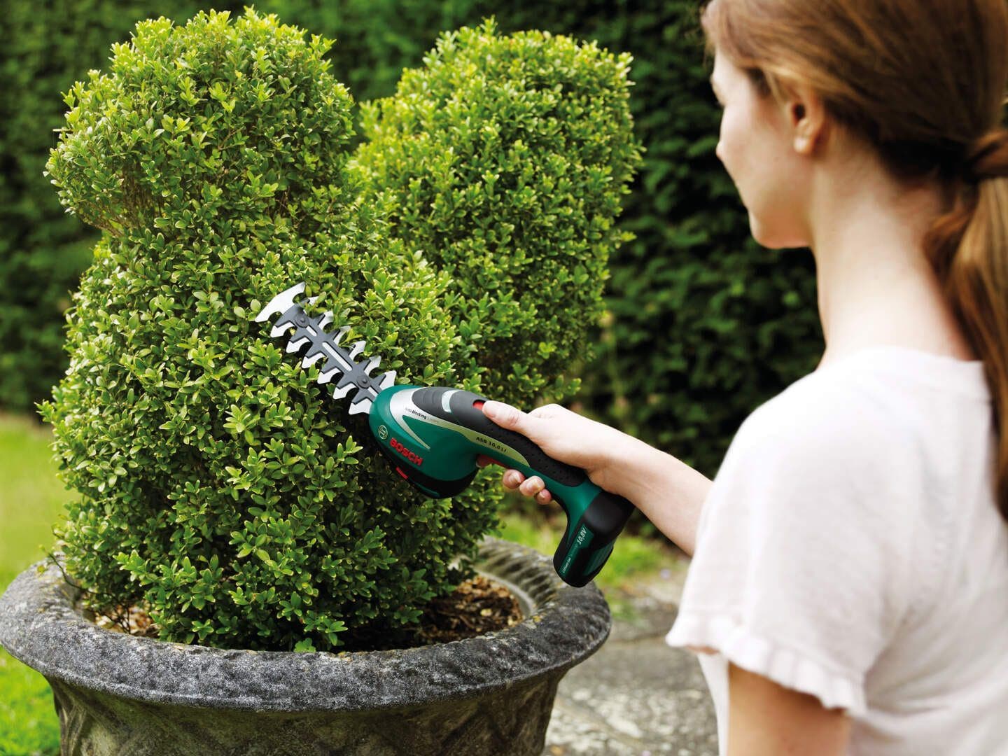 Bosch ASB 10,8 LI SET Akumulatorske makaze za žbunje - slika 5