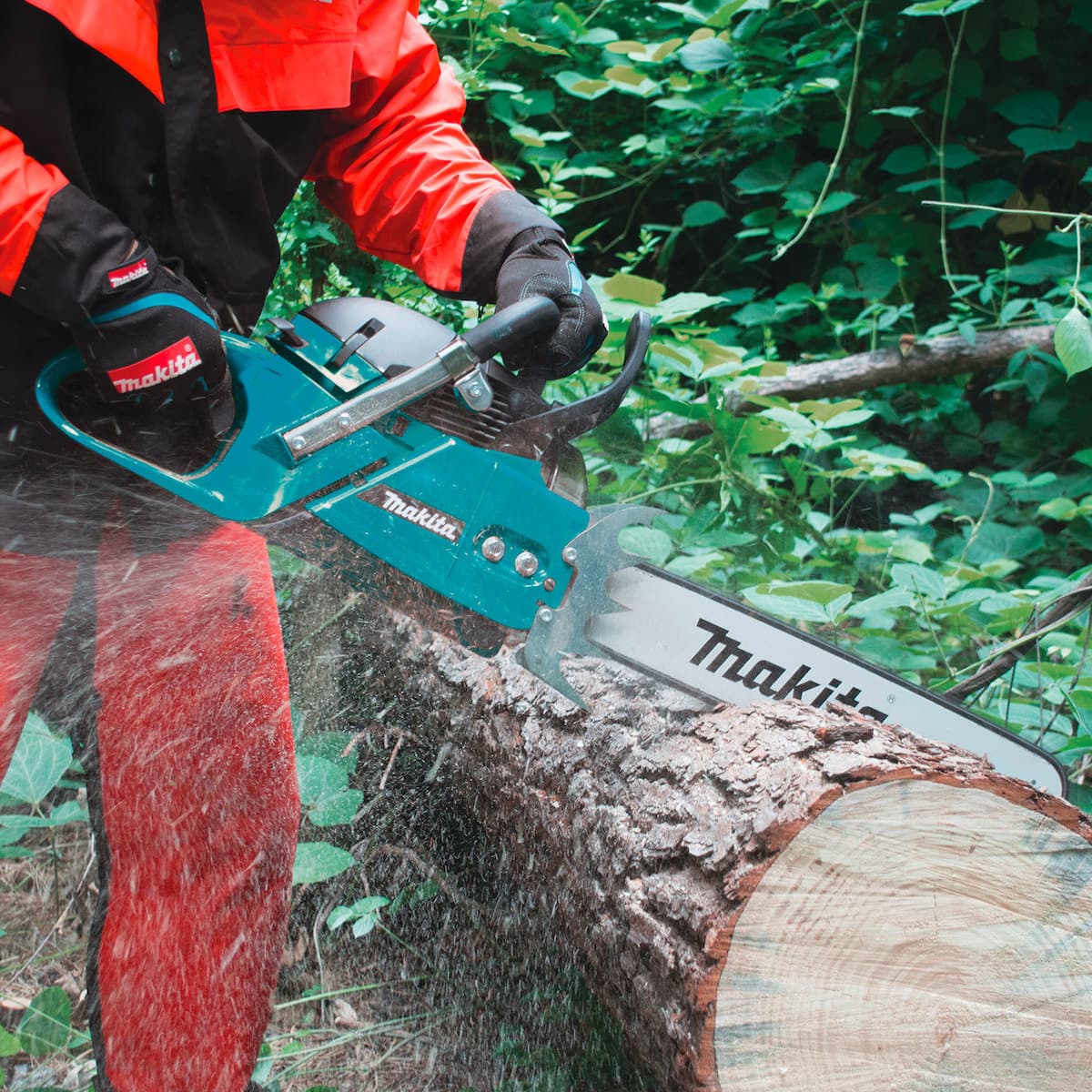Makita EA7300P50E Motorna testera, 5.6KS - slika 3