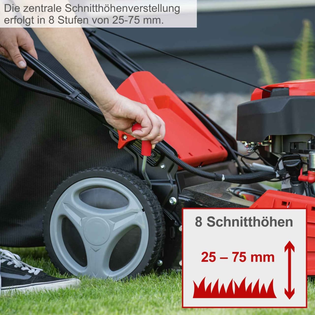 Scheppach motorna kosačica kosilica MP150-46 3.5 KS - slika 4