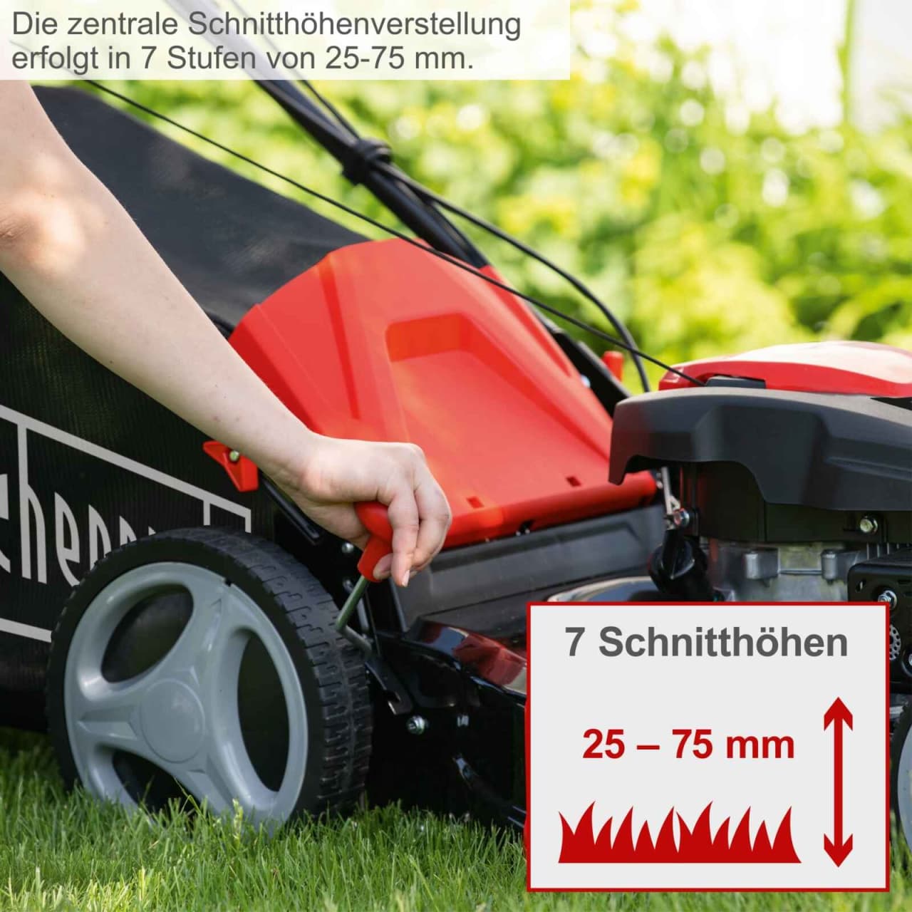 Scheppach motorna kosačica kosilica MS173-51 4.1 KS - slika 4