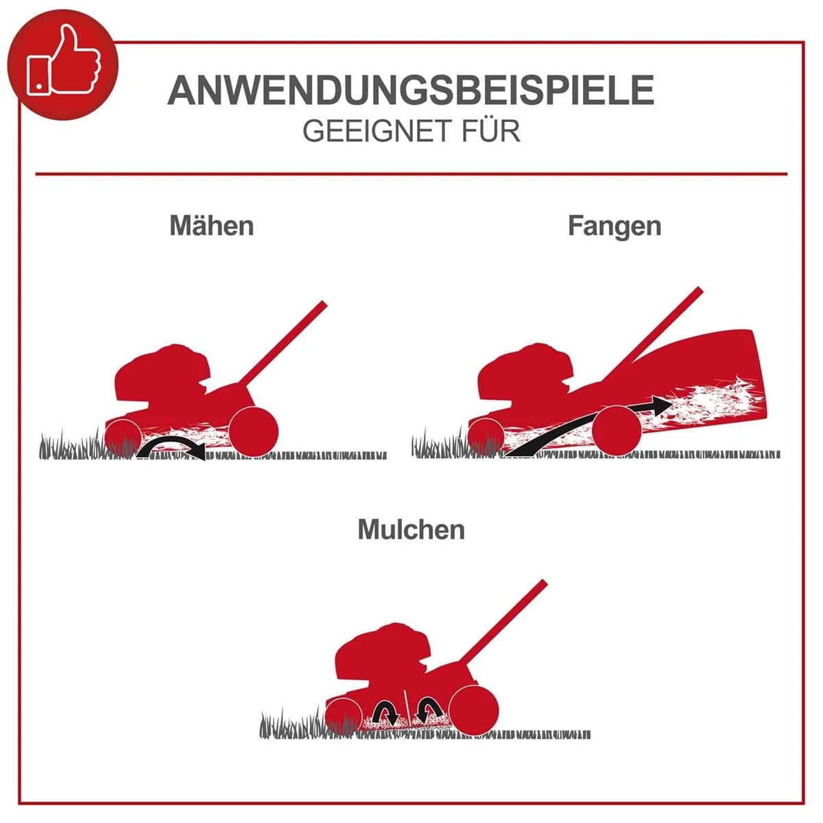 Scheppach motorna kosačica kosilica MS225-56 - slika 3