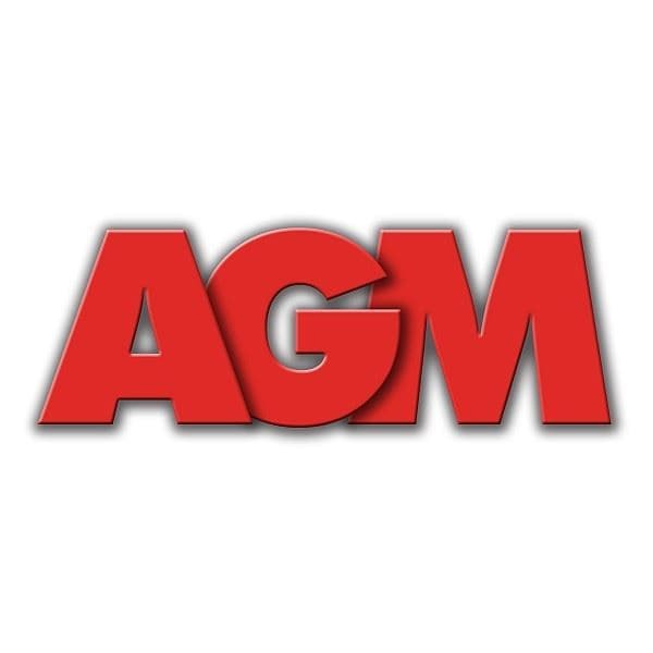 Agregat za struju AGM AGP 2300S , 4800W - slika 2
