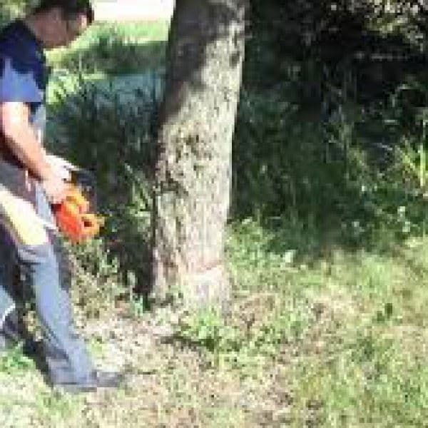 Motorna testera - PS 111,Dolmar - slika 2