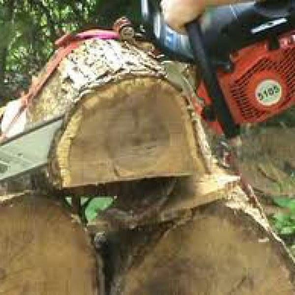 Motorna testera - PS 111,Dolmar - slika 3