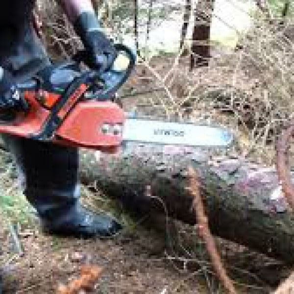 Motorna testera - PS-6400, Dolmar - slika 3