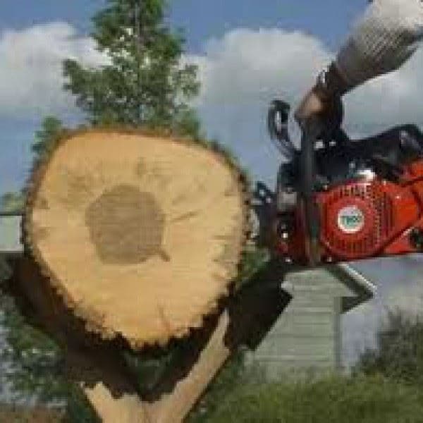 Motorna testera - PS-7300, Dolmar - slika 3