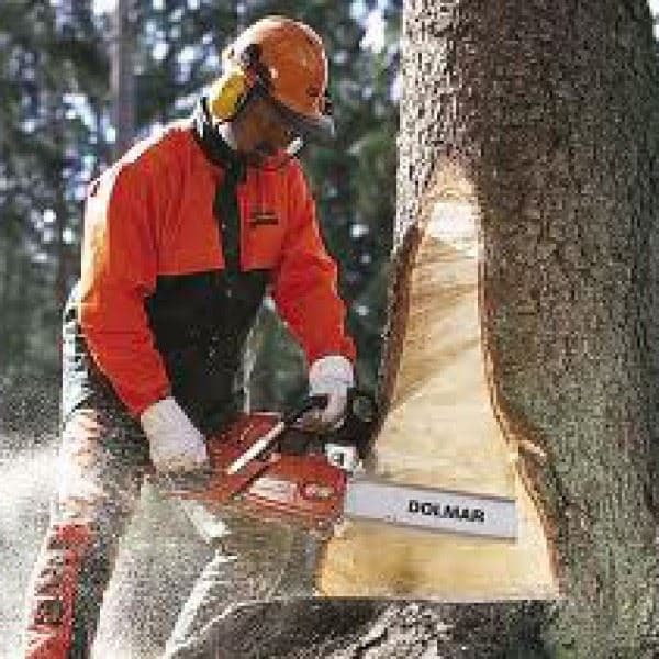 Motorna testera - PS-7300, Dolmar - slika 2