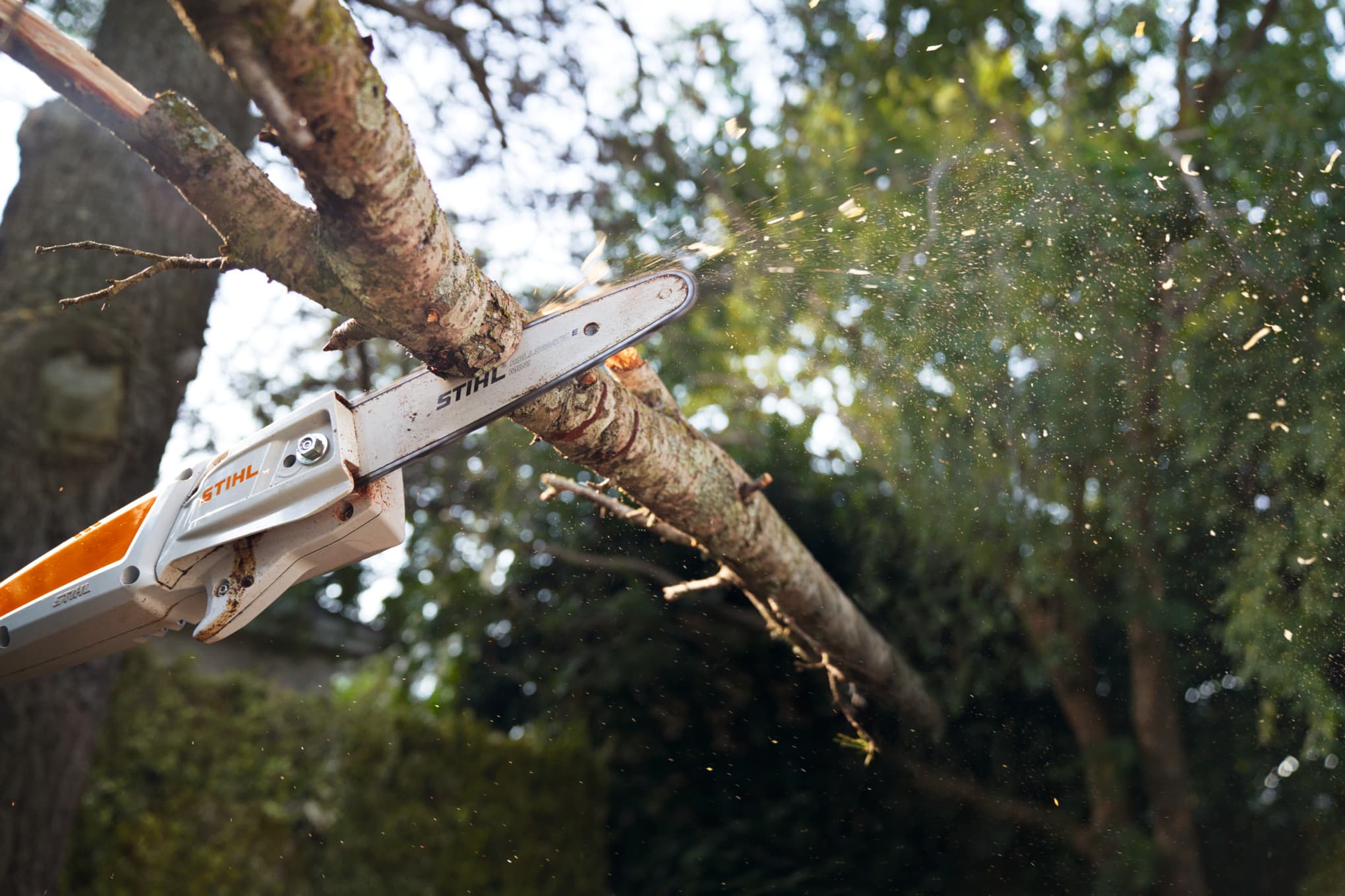 STIHL HTA 50 Accu rezač visokih grana - Sa baterijom i punjačem - slika 3