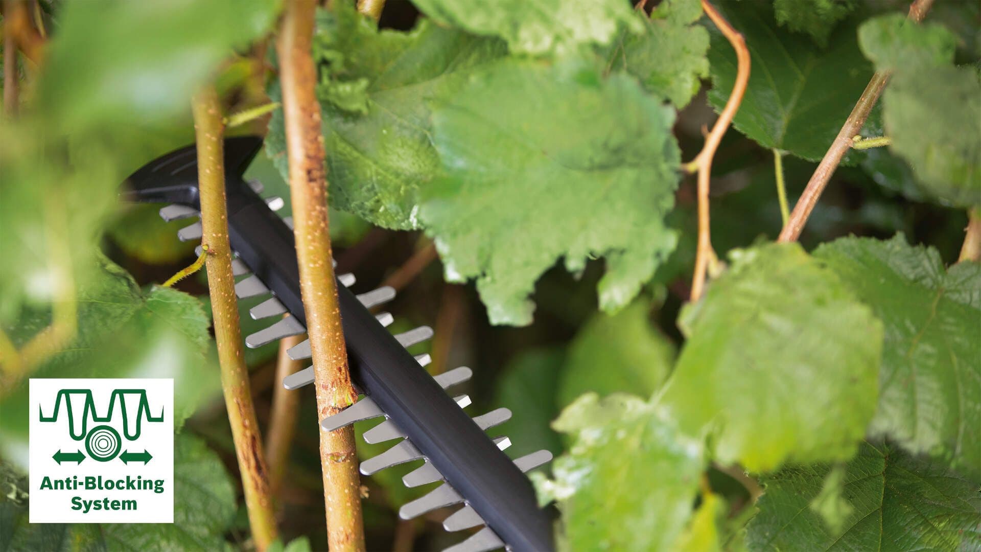 Akumulatorske makaze za živu ogradu Bosch AdvancedHedgeCut 36V-65-28, 1x2,0 Ah, 060084A300 - slika 2