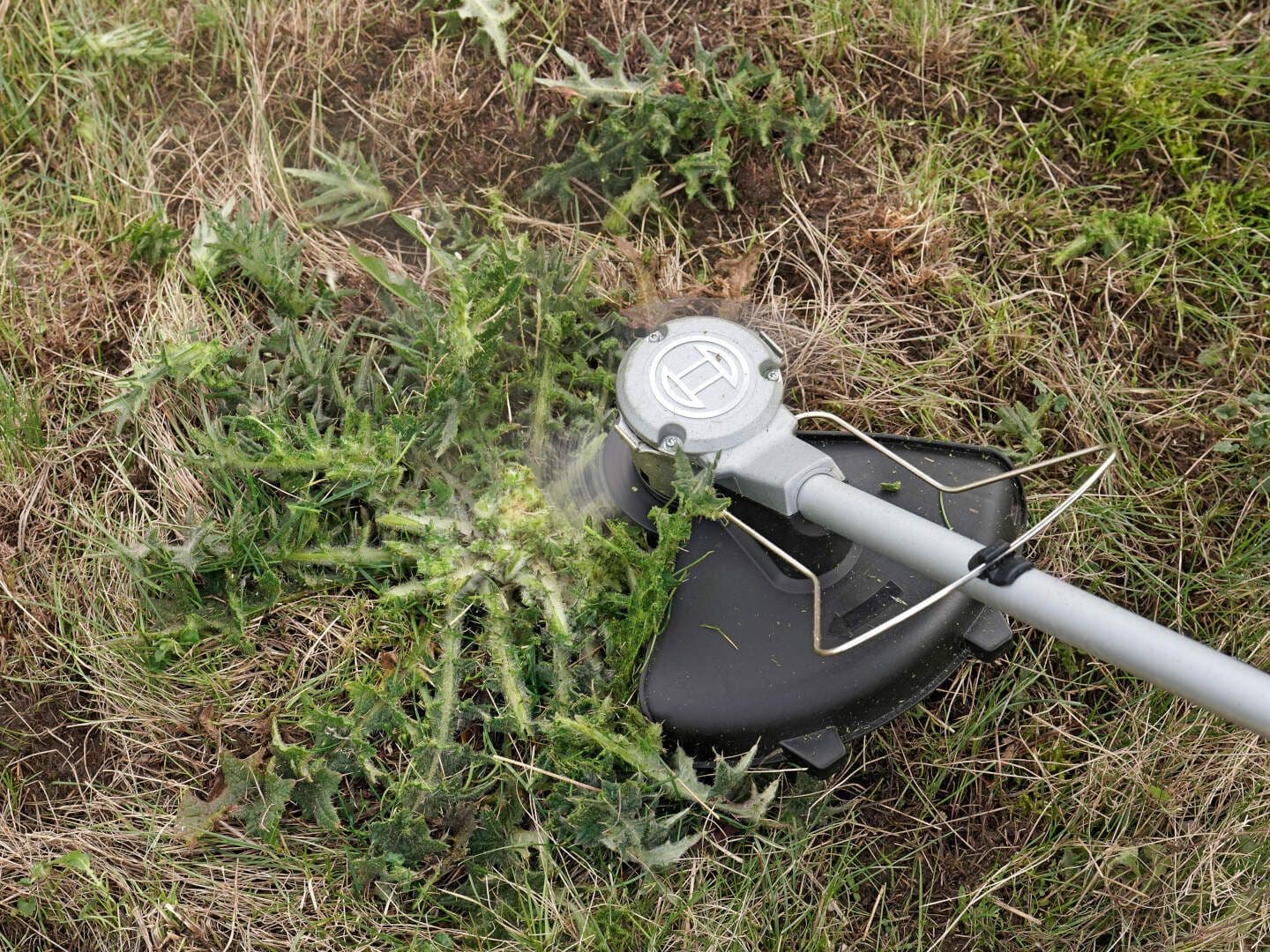 Bosch AdvancedBrushCut Akumulatorski trimer za travu 36V-23-750, Solo 06008C1K02 - slika 14